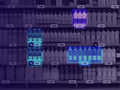 Price Monitoring & Store Audit